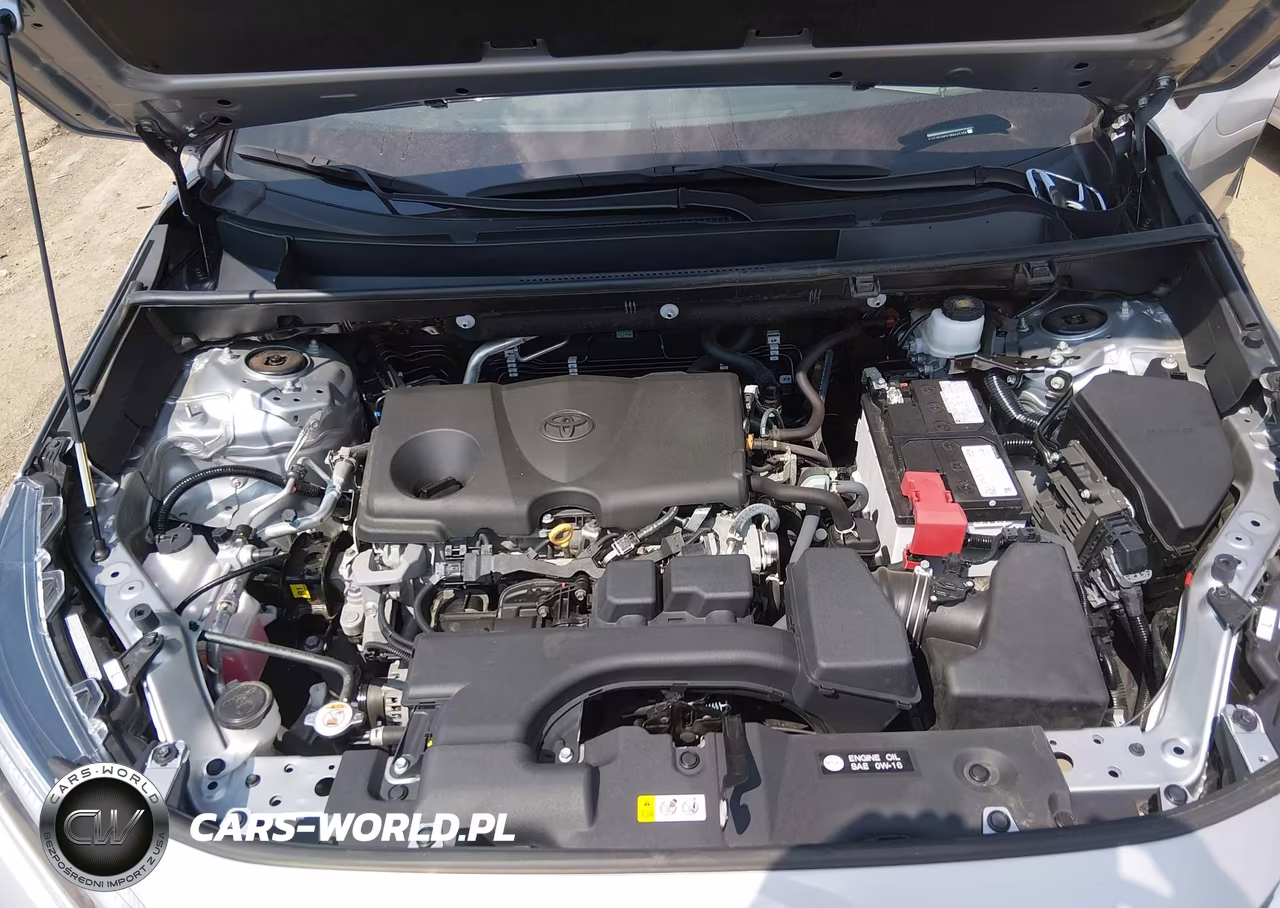 2024 Toyota Rav4 Xle VIN:2T3P1RFV2RW445108 - 10