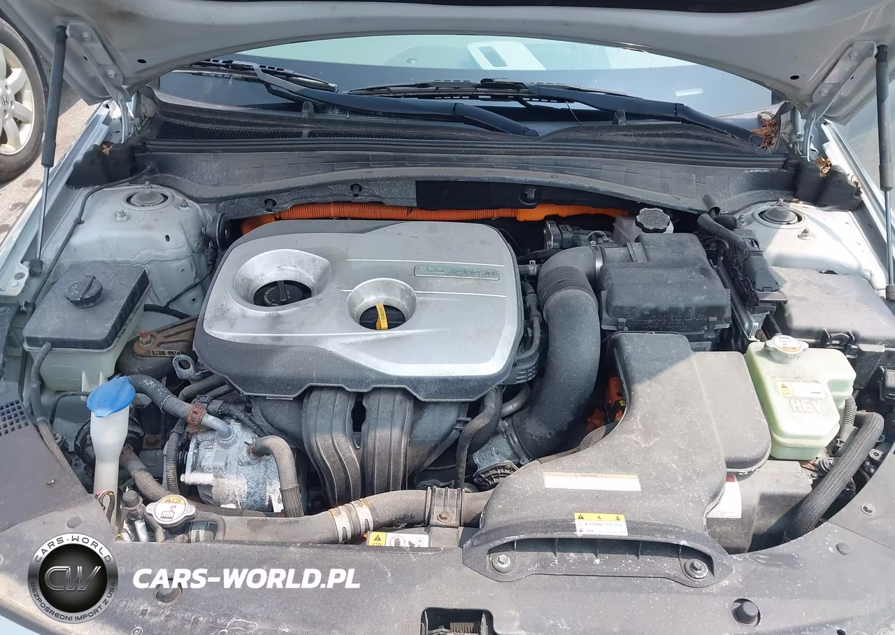 2017 Kia Optima Plug-In Hybrid Ex VIN:KNAGV4LDXH5007345 - 10