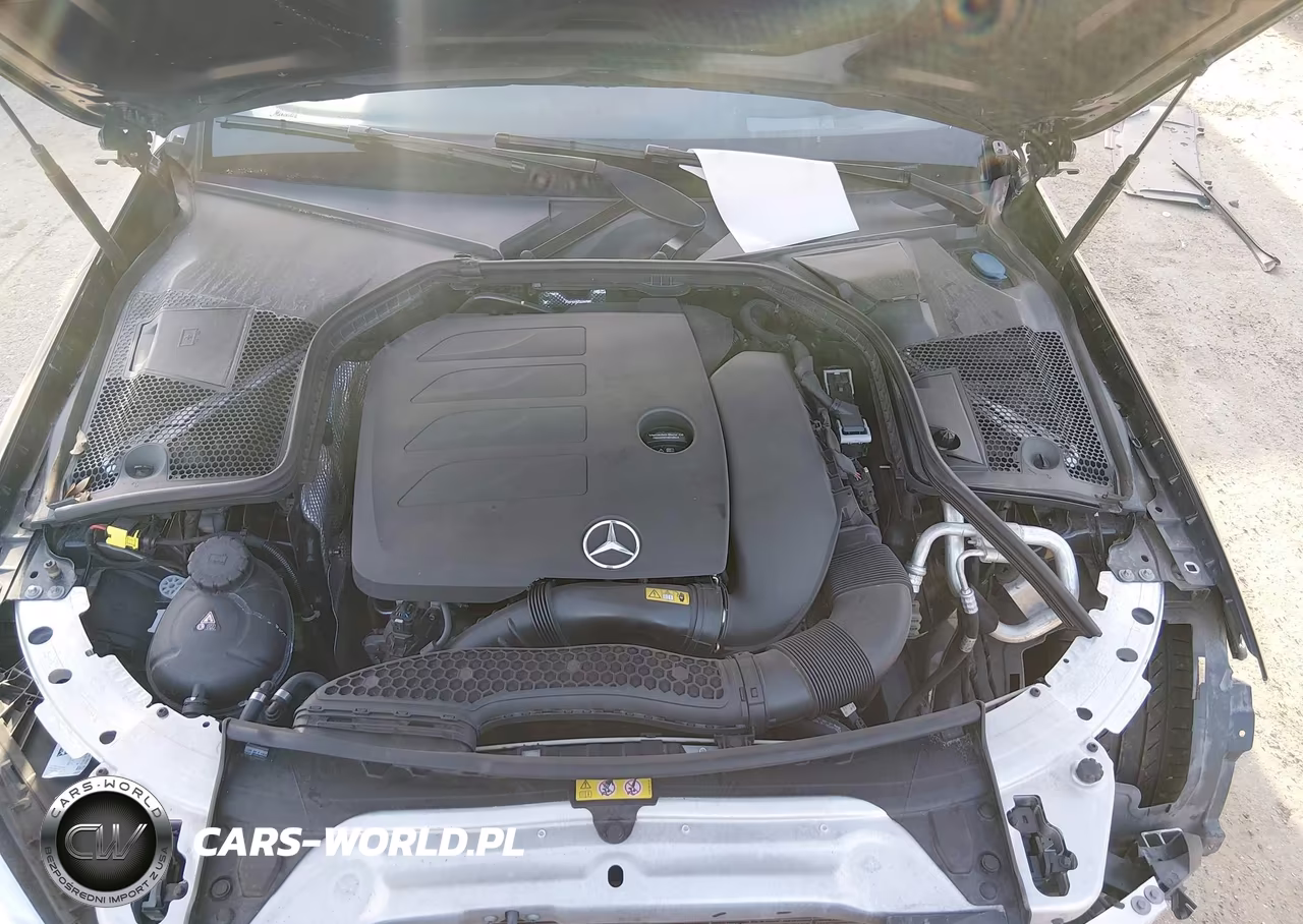 2019 Mercedes-Benz C 300 VIN:WDDWK8DB0KF838257 - 10