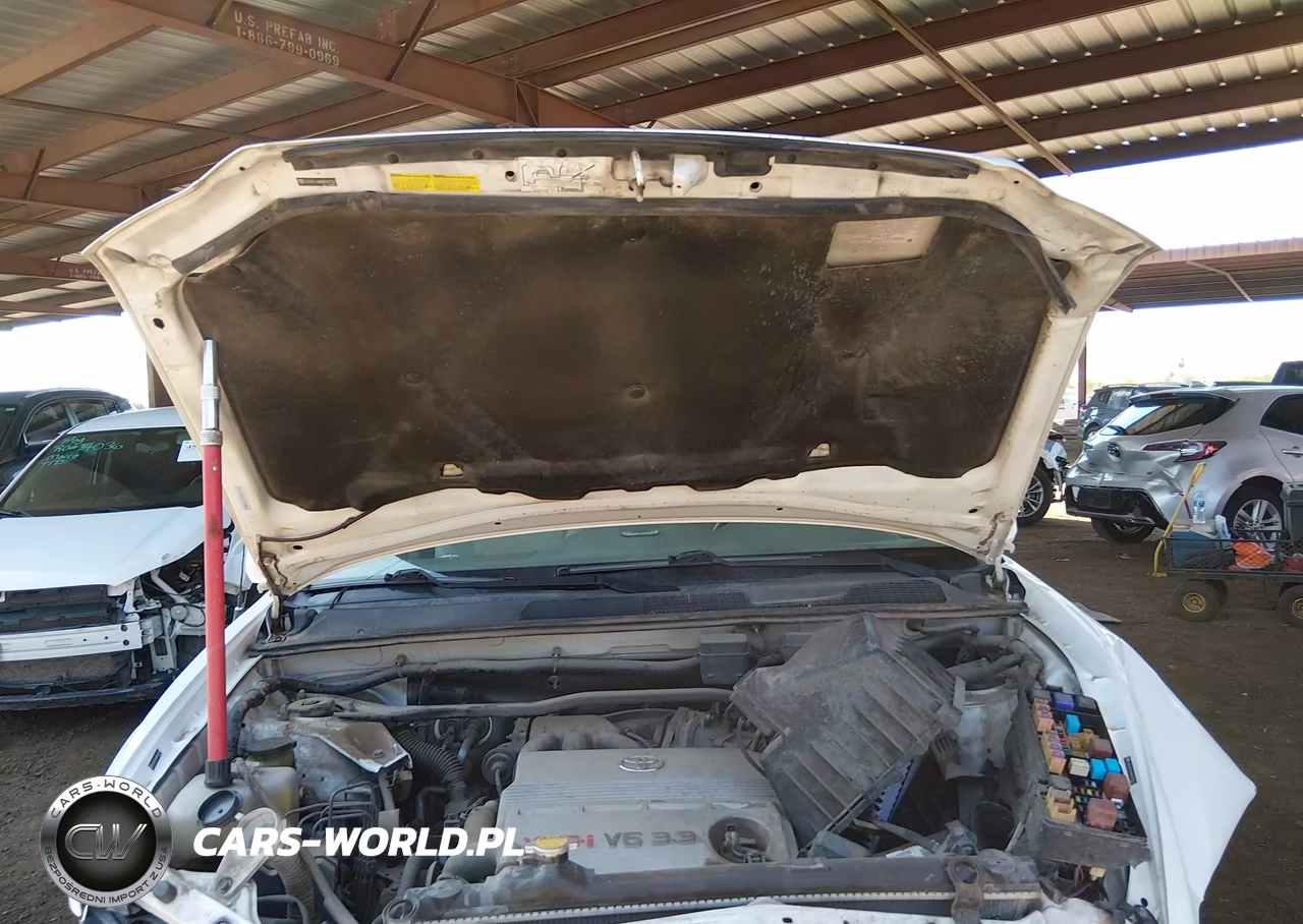 2004 Toyota Highlander V6 VIN:JTEGP21AX40007701 - 10