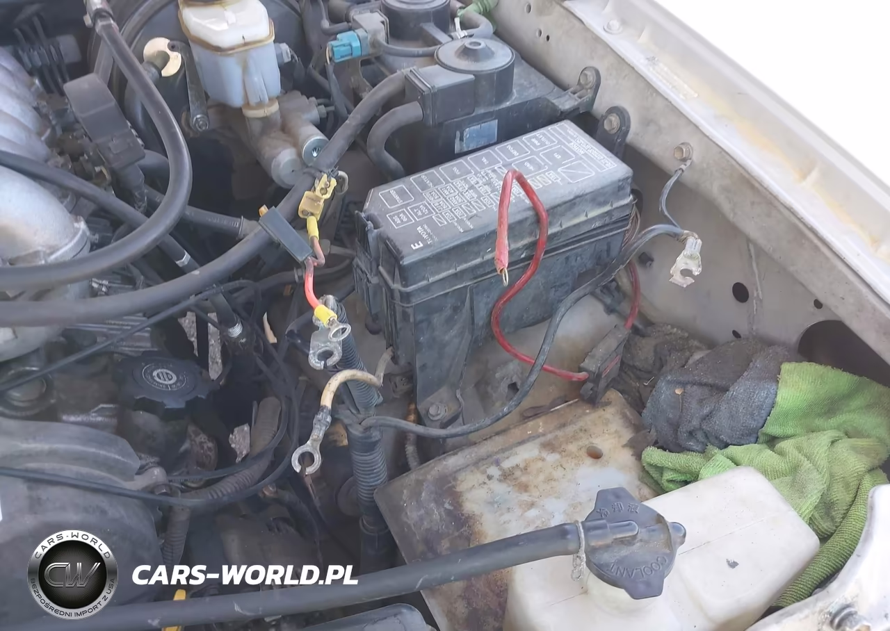 1999 Toyota 4Runner Sr5 V6 VIN:JT3GN86R2X0122085 - 13