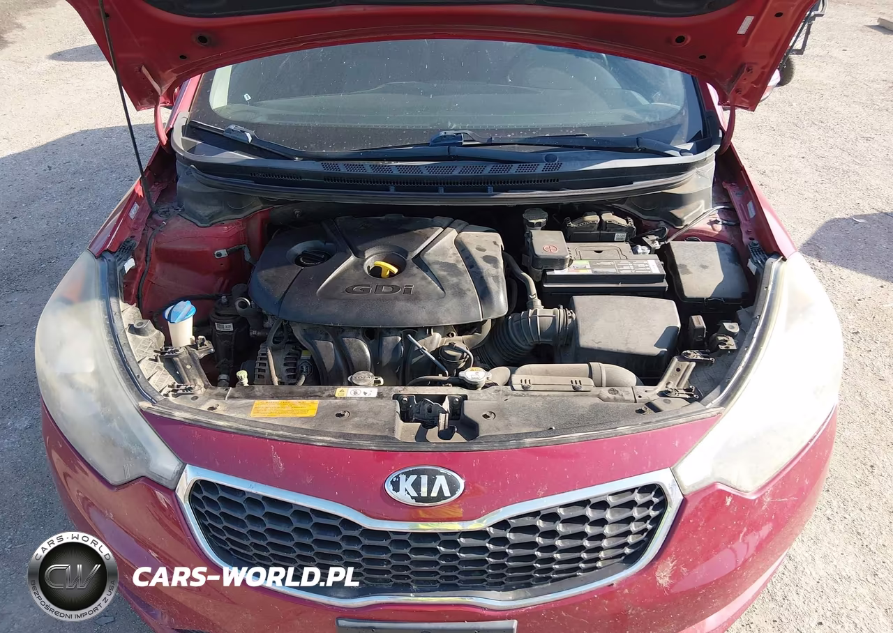 2014 Kia Forte Ex VIN:KNAFX4A87E5104865 - 10