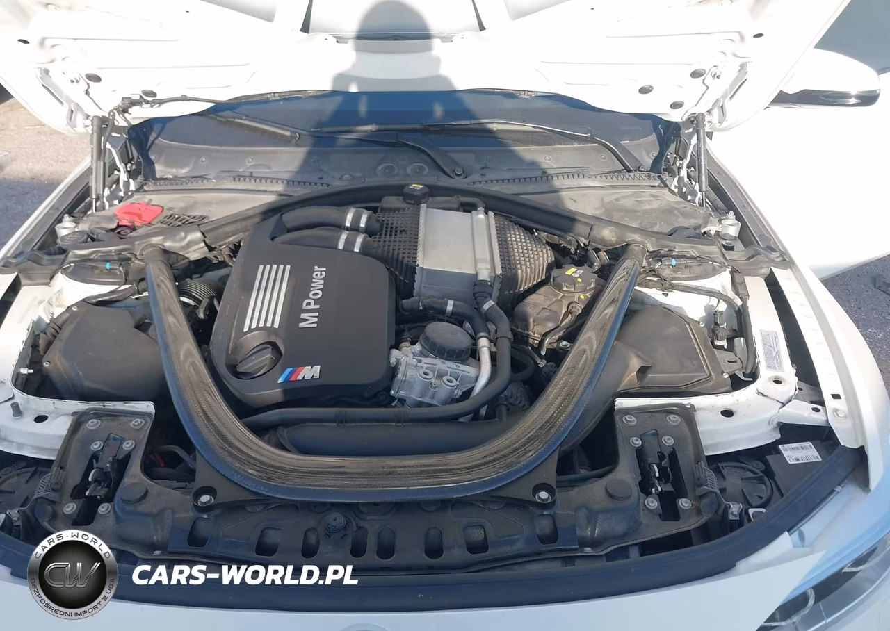 2016 BMW M4 VIN:WBS3R9C5XGK336986 - 10