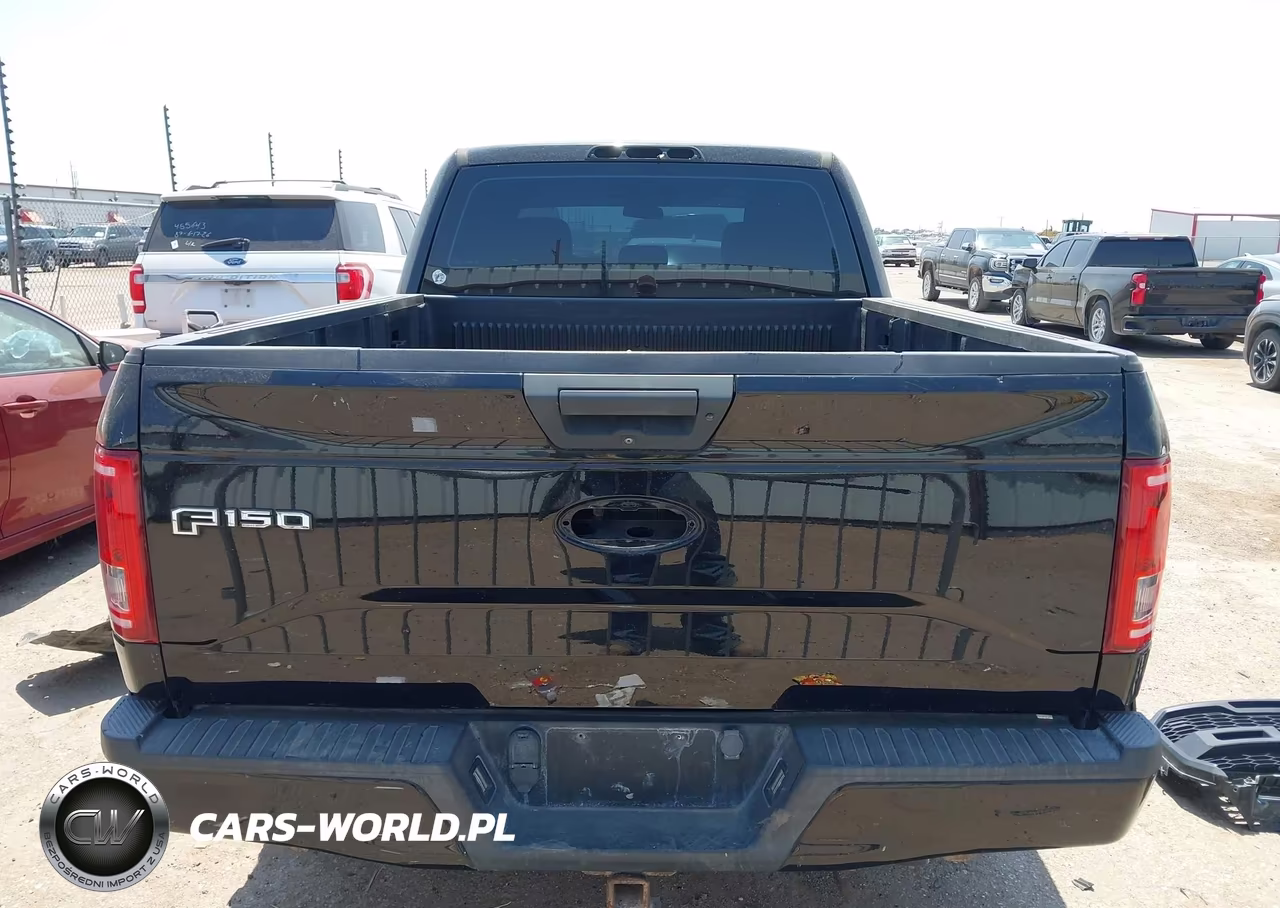 2016 Ford F-150 Xl VIN:1FTEX1EP1GFC78037 - 17
