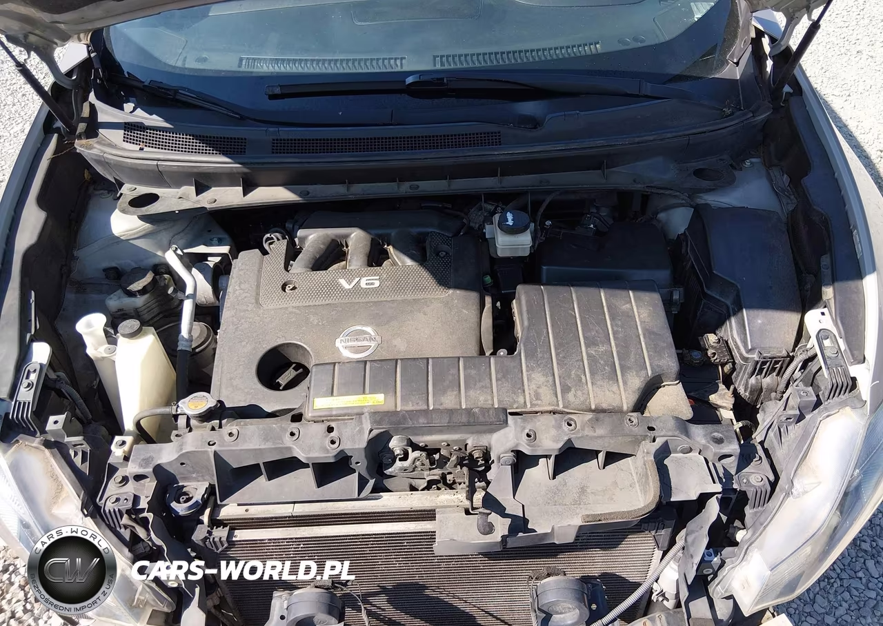 2009 Nissan Murano Sl VIN:JN8AZ18UX9W003400 - 10