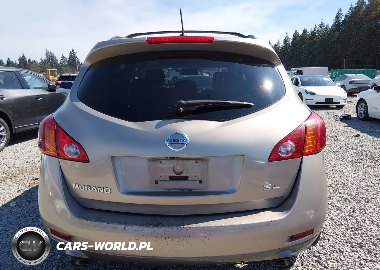 2009 Nissan Murano Sl VIN:JN8AZ18UX9W003400 - 17