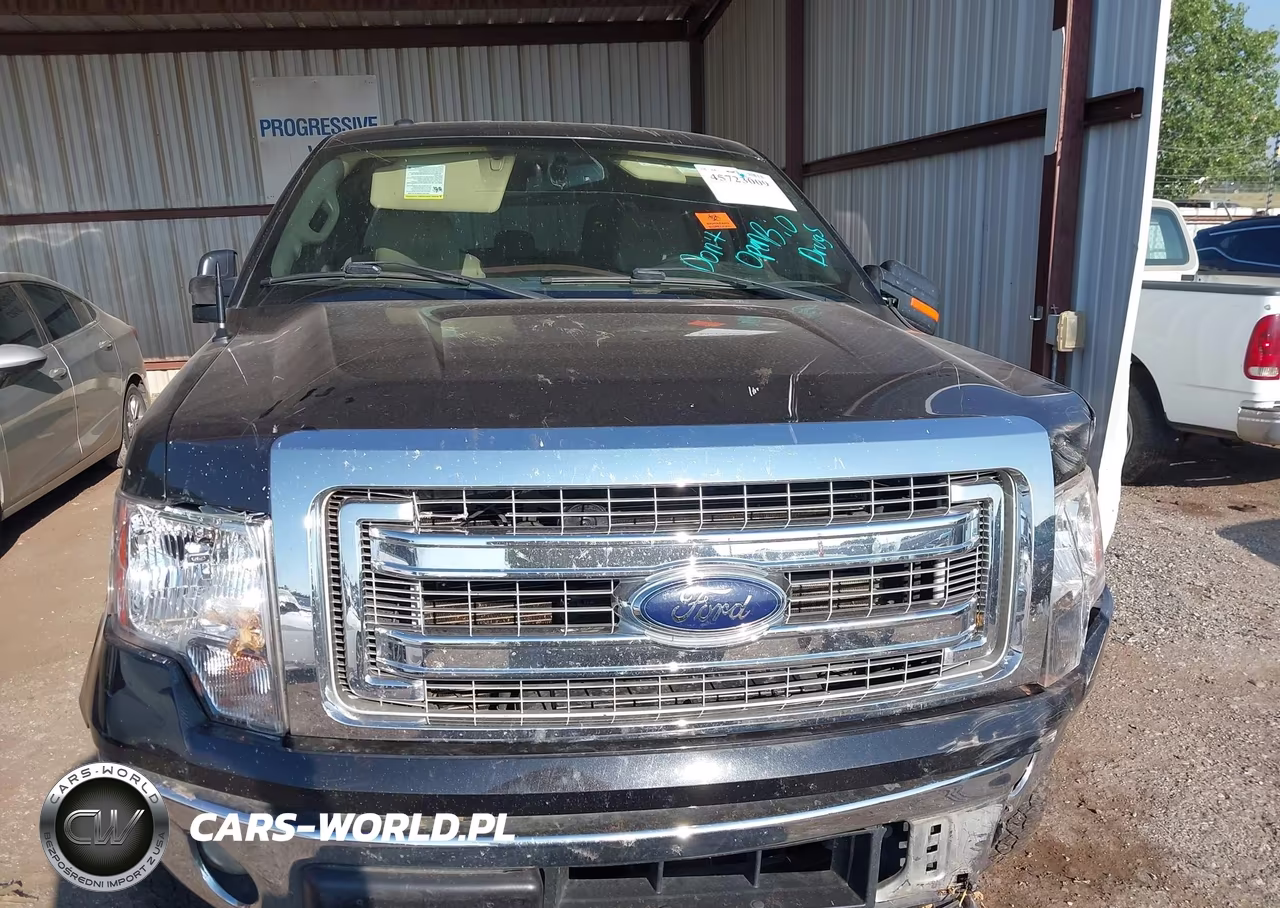 2013 Ford F-150 Xlt VIN:1FTFW1ET0DKE02614 - 12