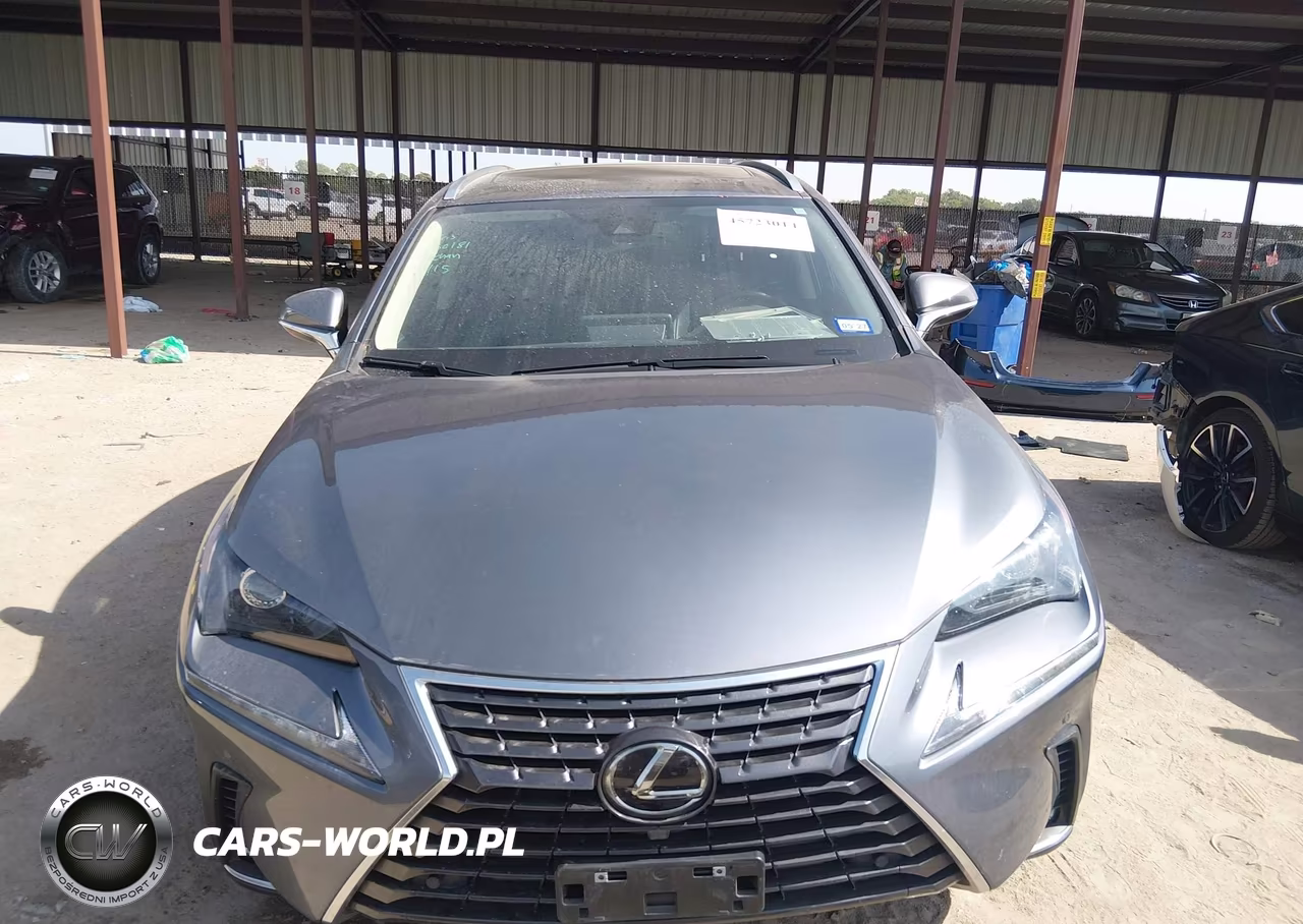 2021 Lexus Nx 300 VIN:JTJDARBZ2M2191510 - 11