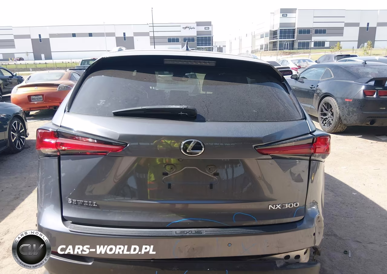 2021 Lexus Nx 300 VIN:JTJDARBZ2M2191510 - 15