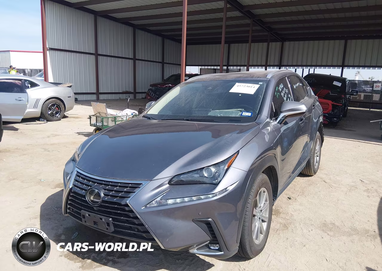 2021 Lexus Nx 300 VIN:JTJDARBZ2M2191510 - 2