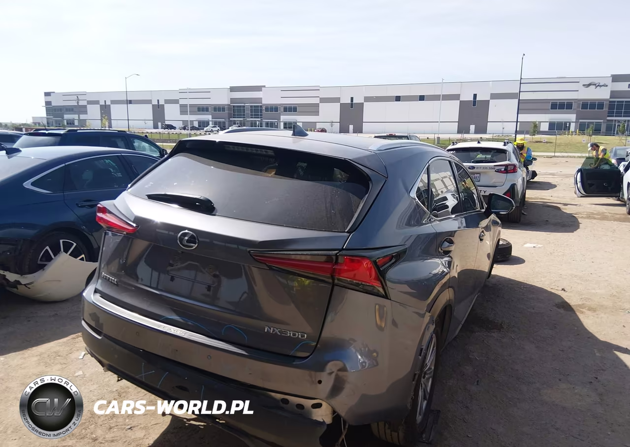 2021 Lexus Nx 300 VIN:JTJDARBZ2M2191510 - 4