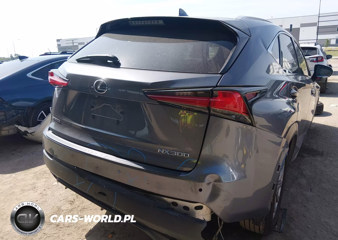 2021 Lexus Nx 300 VIN:JTJDARBZ2M2191510 - 6