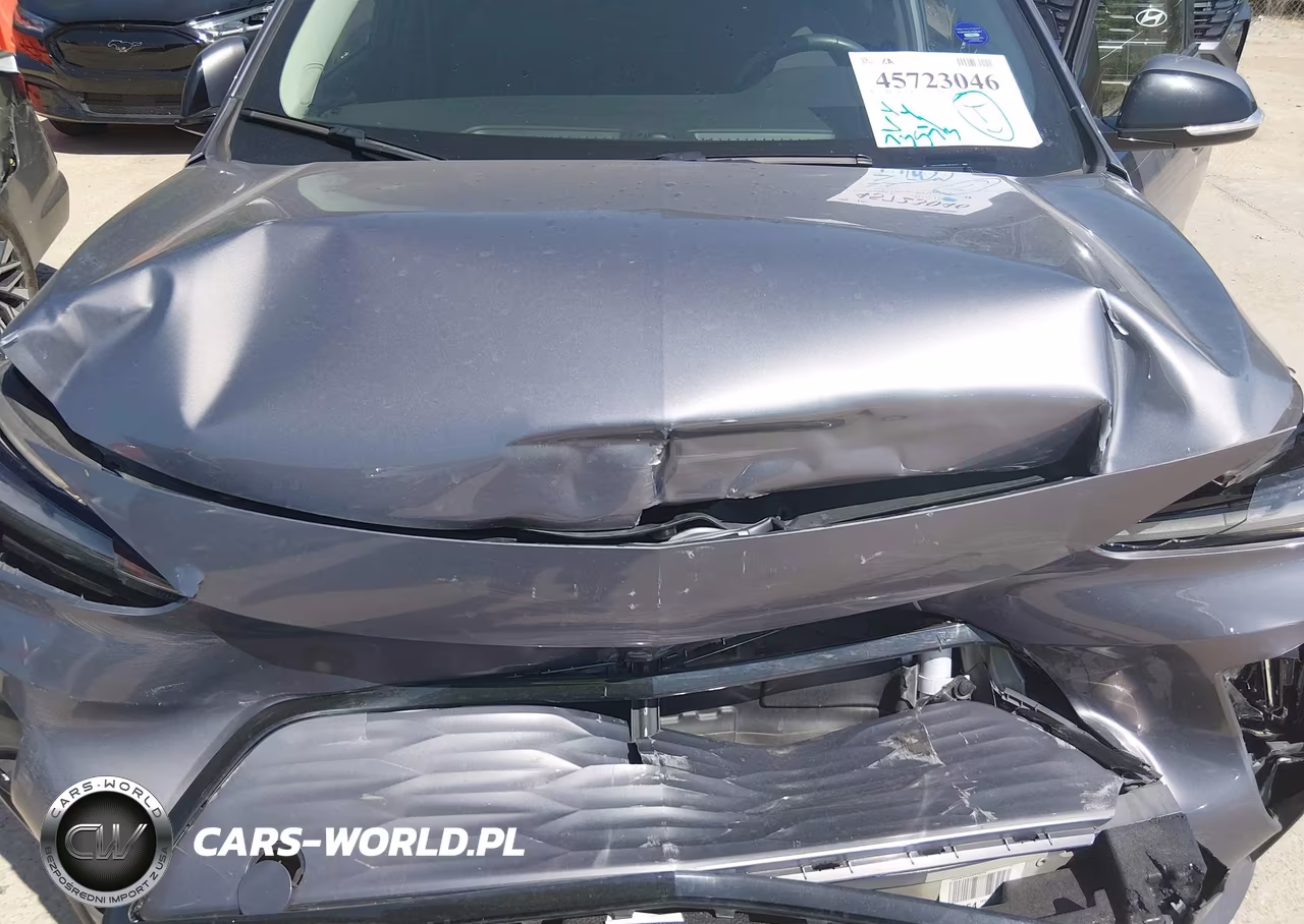 2023 Chevrolet Bolt Euv Fwd Lt VIN:1G1FY6S05P4197942 - 10