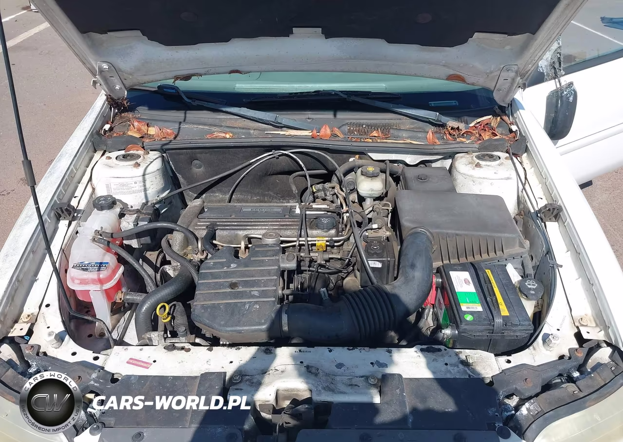 2005 Chevrolet Classic VIN:1G1ND52FX5M164485 - 10