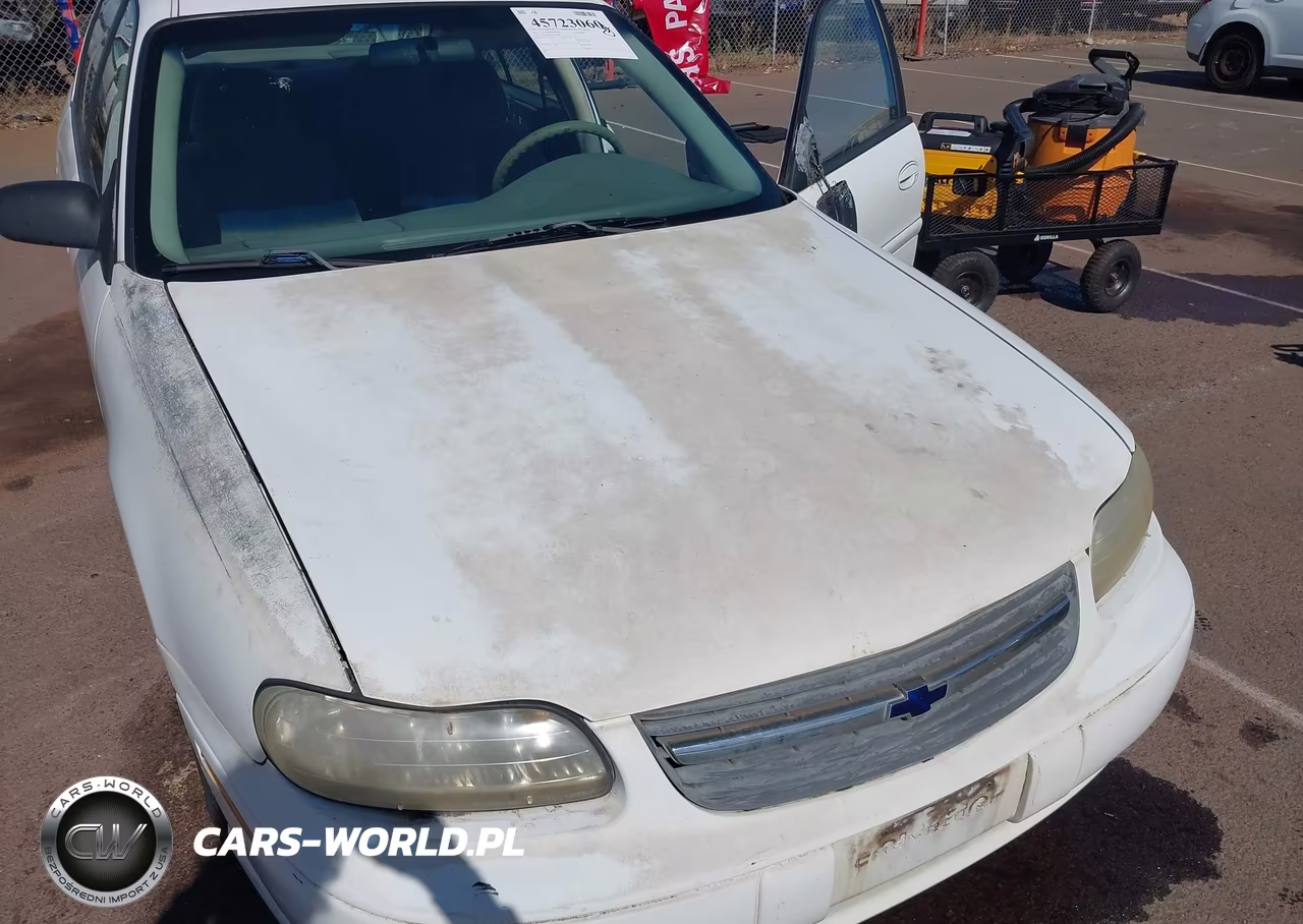 2005 Chevrolet Classic VIN:1G1ND52FX5M164485 - 12