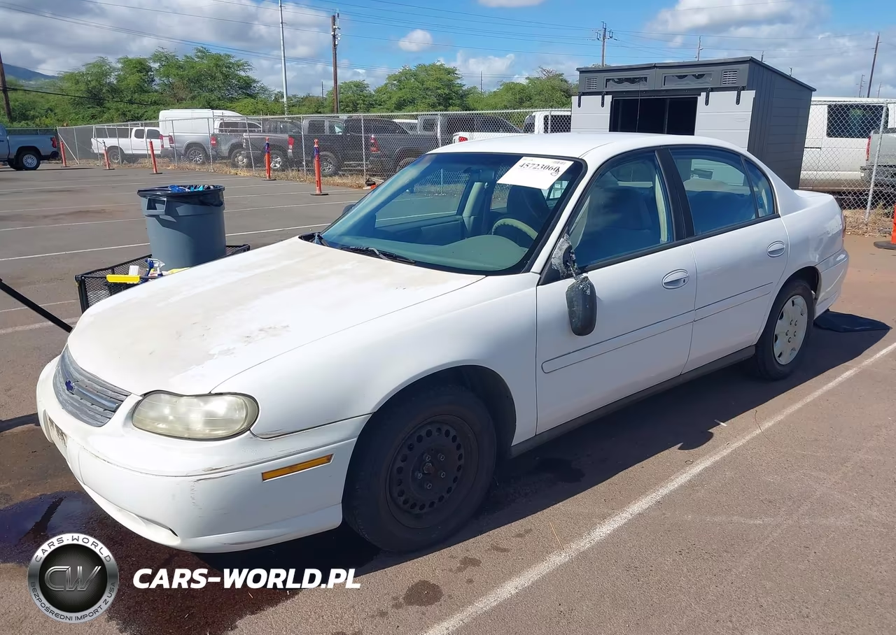 2005 Chevrolet Classic VIN:1G1ND52FX5M164485 - 2