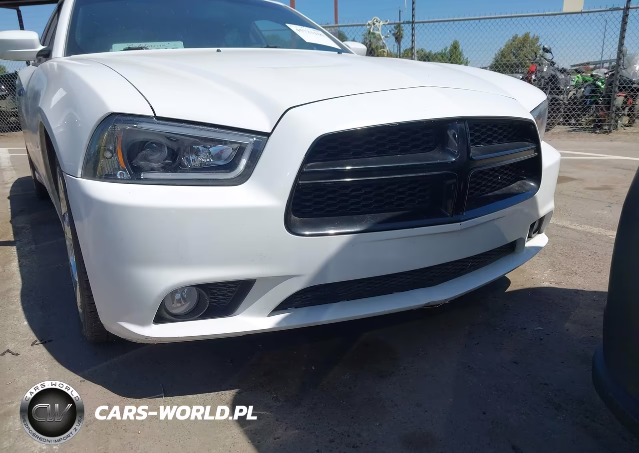 2014 Dodge Charger Road-Track VIN:2C3CDXCT8EH138182 - 13