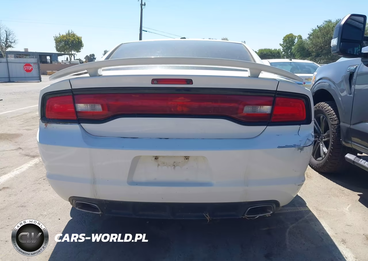 2014 Dodge Charger Road-Track VIN:2C3CDXCT8EH138182 - 17