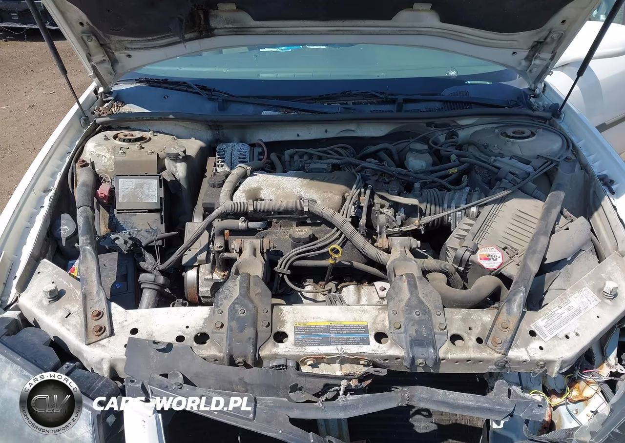 2004 Chevrolet Impala VIN:2G1WF52EX49388809 - 10