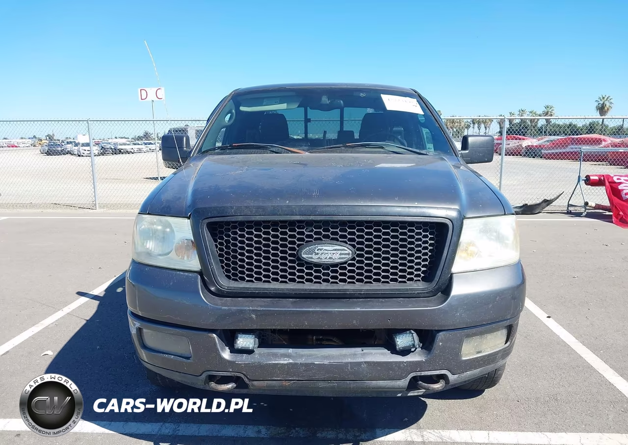2004 Ford F-150 Fx4-Lariat-Xl-Xlt VIN:1FTPX14524NA06770 - 12