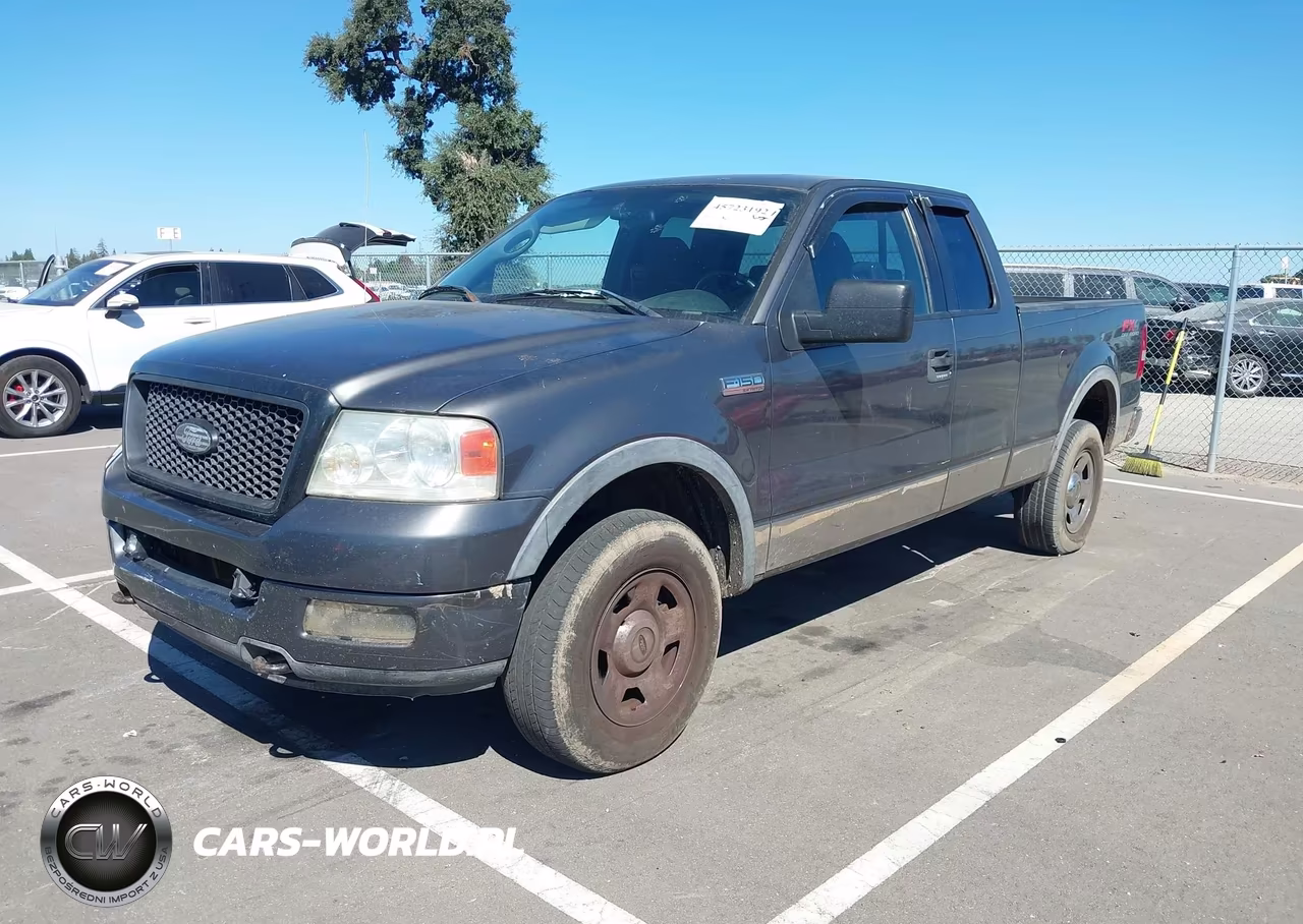 2004 Ford F-150 Fx4-Lariat-Xl-Xlt VIN:1FTPX14524NA06770 - 2