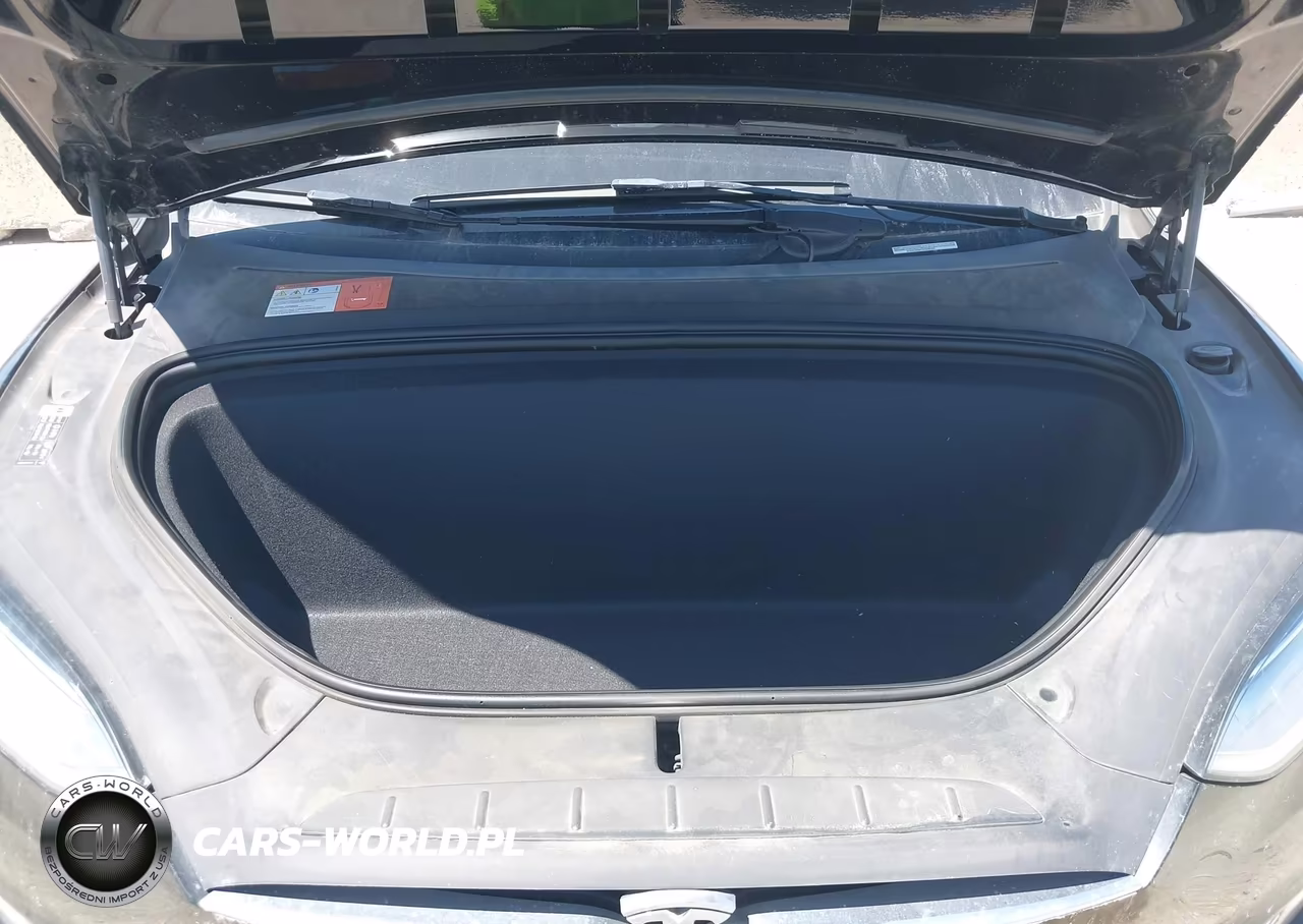 2017 Tesla Model X 100D-75D-90D VIN:5YJXCDE2XHF077222 - 10