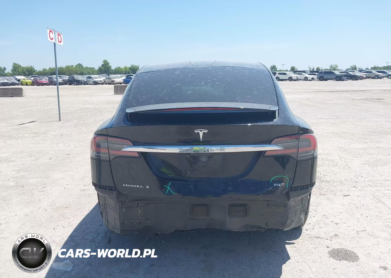 2017 Tesla Model X 100D-75D-90D VIN:5YJXCDE2XHF077222 - 17