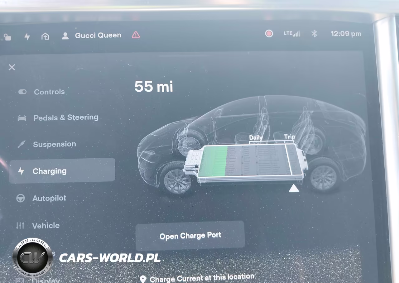 2017 Tesla Model X 100D-75D-90D VIN:5YJXCDE2XHF077222 - 18