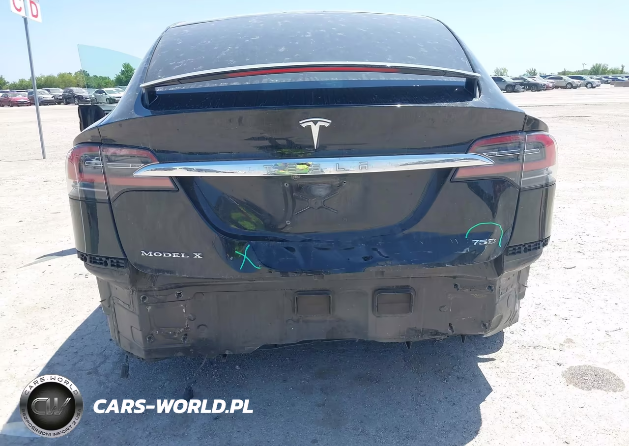 2017 Tesla Model X 100D-75D-90D VIN:5YJXCDE2XHF077222 - 6