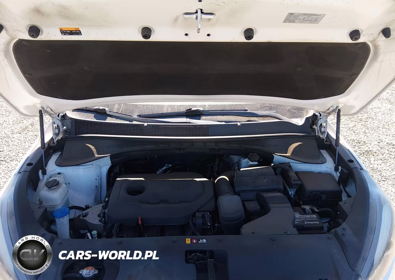 2018 Kia Sorento 2.4L Lx VIN:5XYPG4A35JG380152 - 10