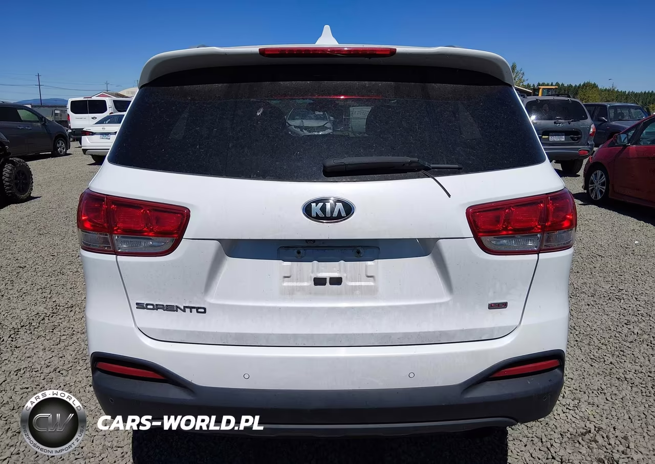 2018 Kia Sorento 2.4L Lx VIN:5XYPG4A35JG380152 - 17