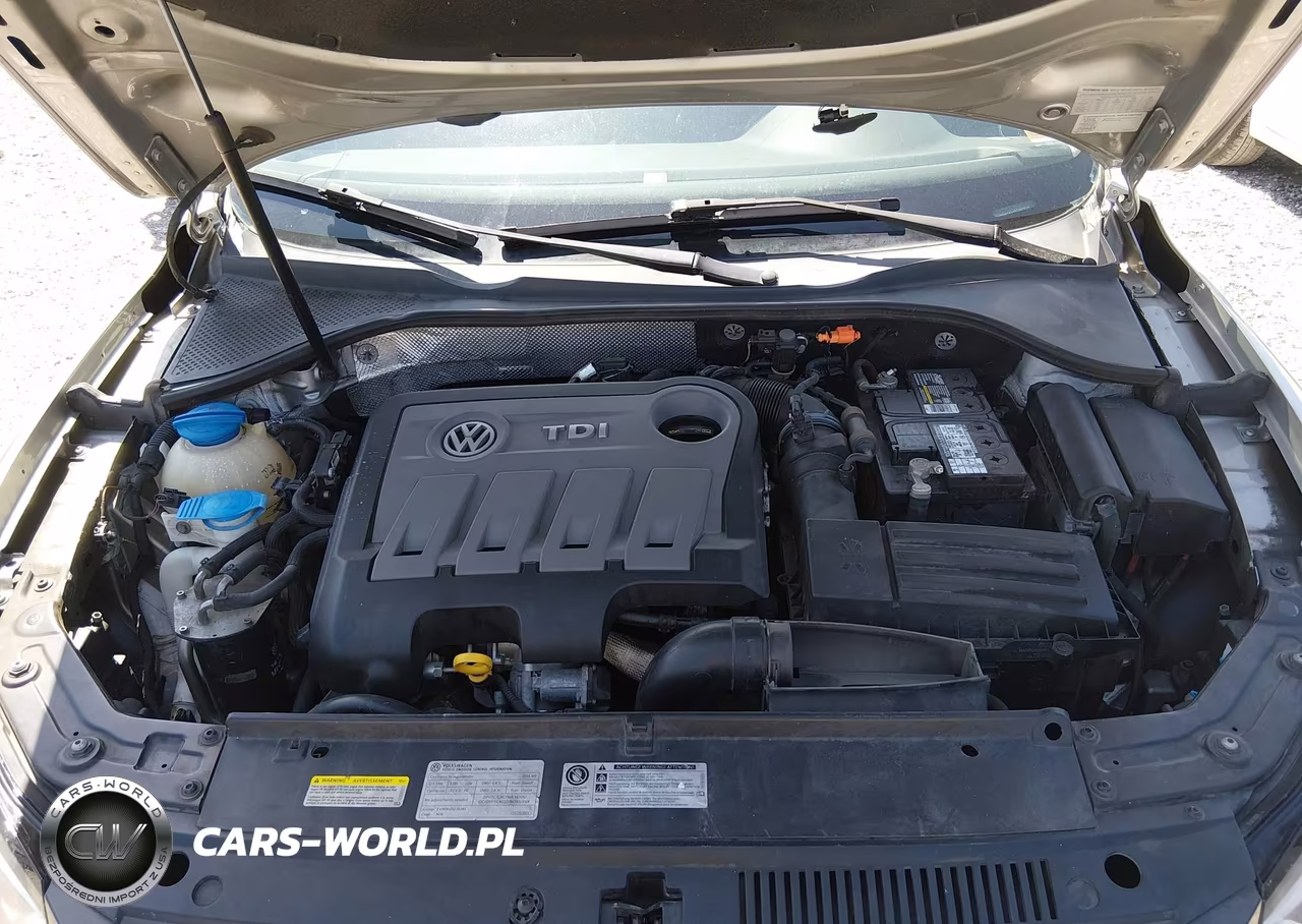 2014 Volkswagen Passat 2.0L Tdi Se VIN:1VWBN7A3XEC097819 - 10