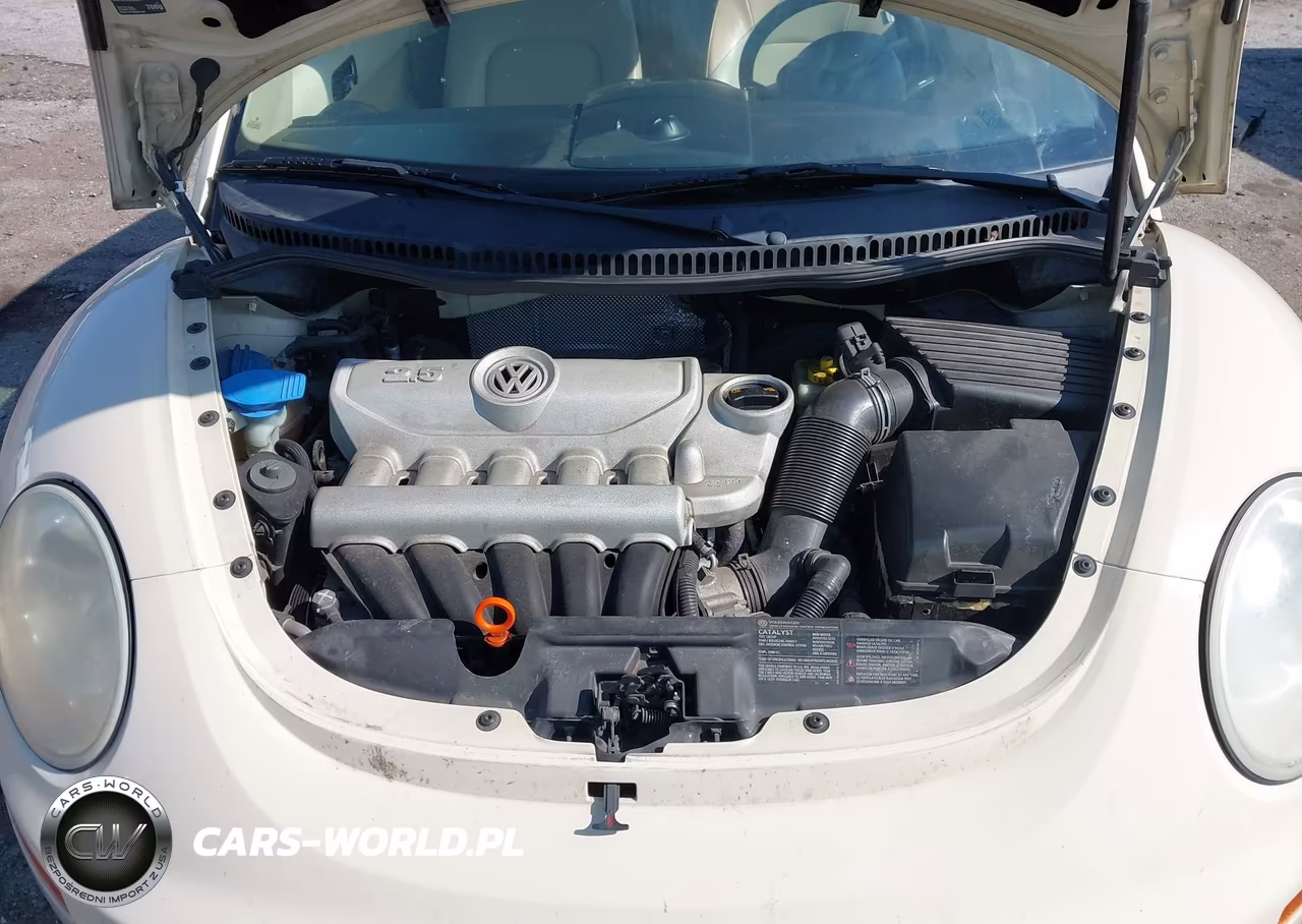 2008 Volkswagen New Beetle S VIN:3VWPF31Y88M402115 - 10