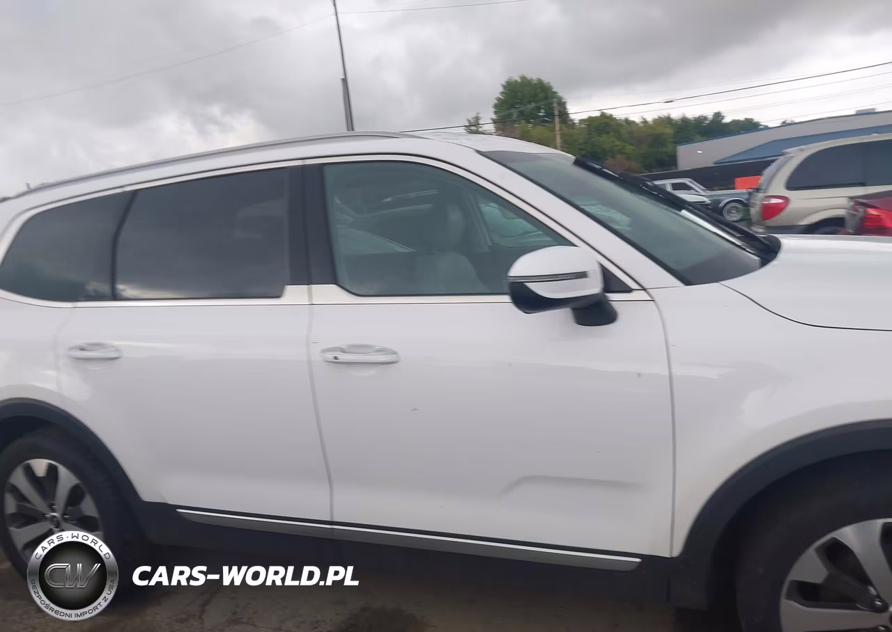 2021 Kia Telluride S VIN:5XYP6DHC1MG120506 - 13
