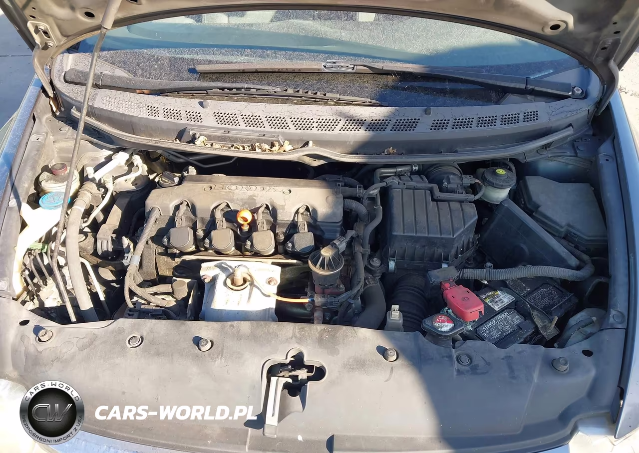2010 Honda Civic Lx VIN:19XFA1F59AE031059 - 10