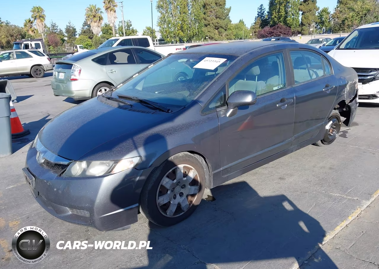 2010 Honda Civic Lx VIN:19XFA1F59AE031059 - 2