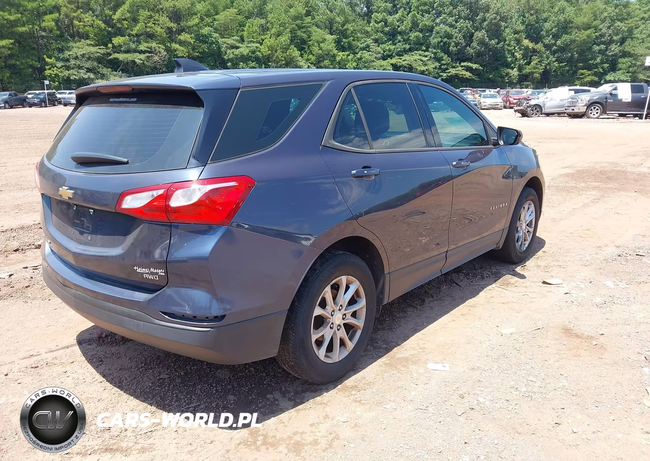 2019 Chevrolet Equinox Ls VIN:3GNAXSEV9KS508857 - 4