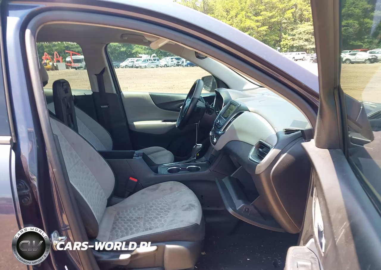 2019 Chevrolet Equinox Ls VIN:3GNAXSEV9KS508857 - 5