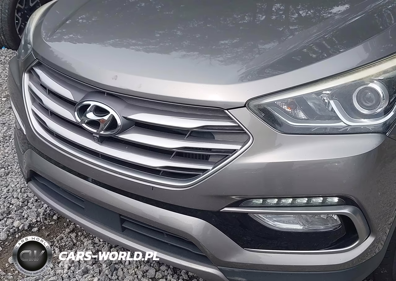 2017 Hyundai Santa Fe Sport 2.0T Ultimate VIN:5XYZW4LA1HG426660 - 6
