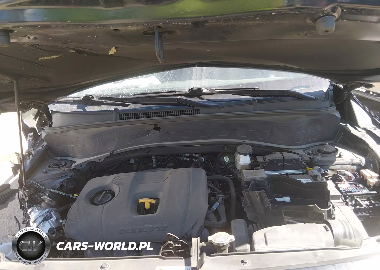 2024 Kia Seltos Ex VIN:KNDER2AA2R7509588 - 10