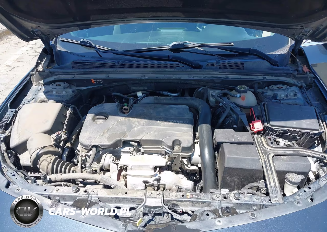2019 Chevrolet Malibu Lt VIN:1G1ZD5ST3KF221262 - 10