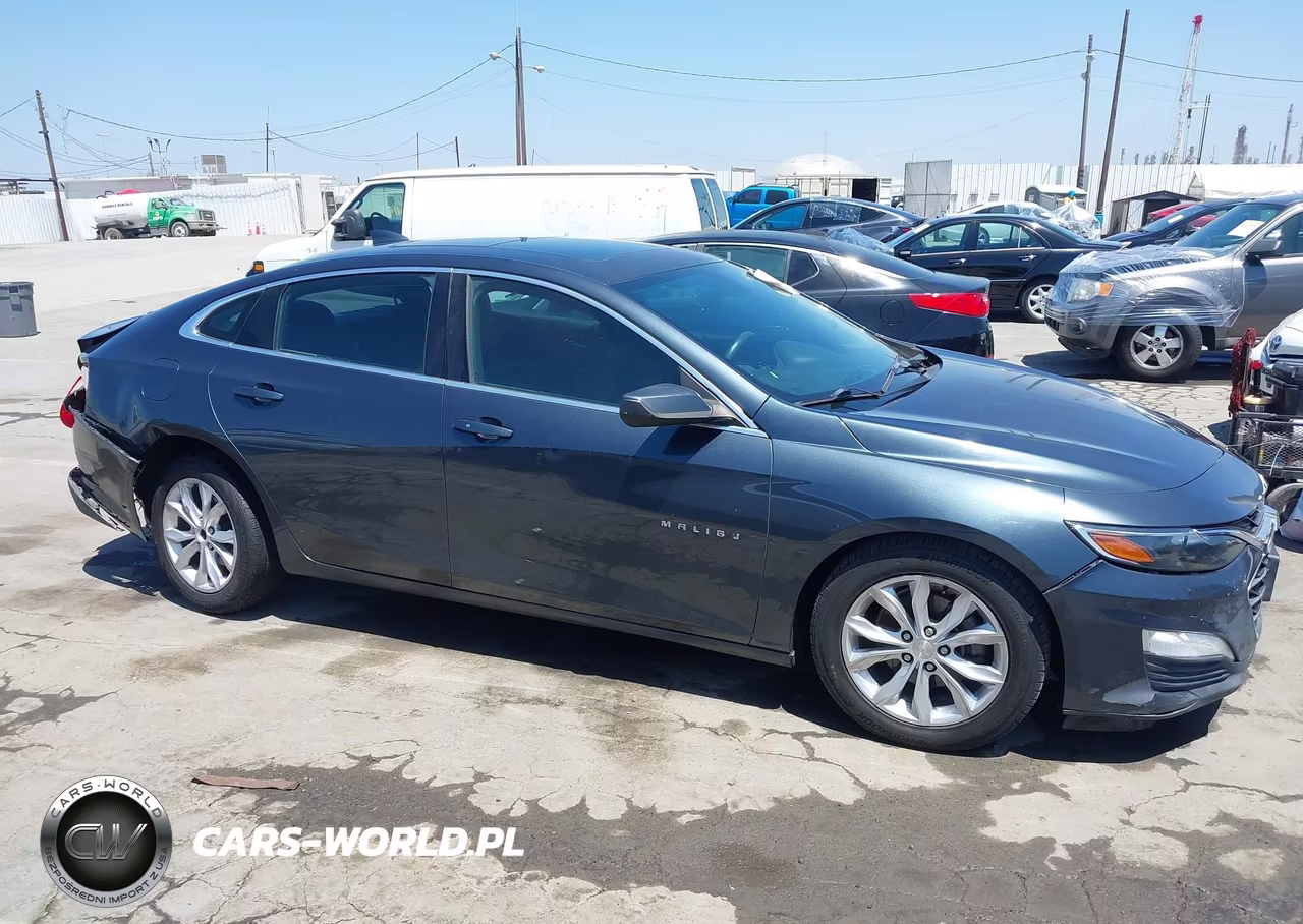 2019 Chevrolet Malibu Lt VIN:1G1ZD5ST3KF221262 - 13