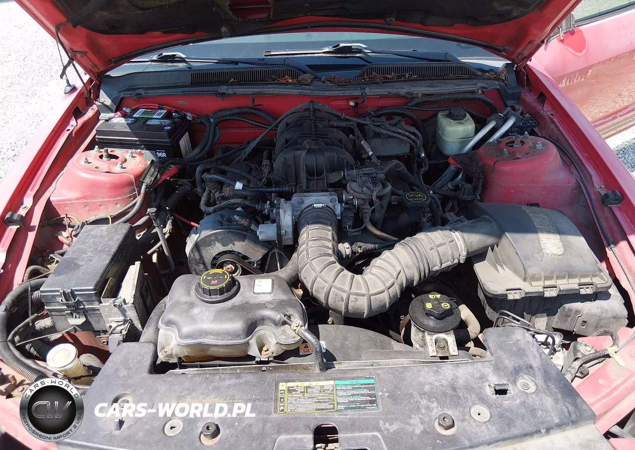 2005 Ford Mustang V6 Deluxe-V6 Premium VIN:1ZVFT80N655162363 - 10