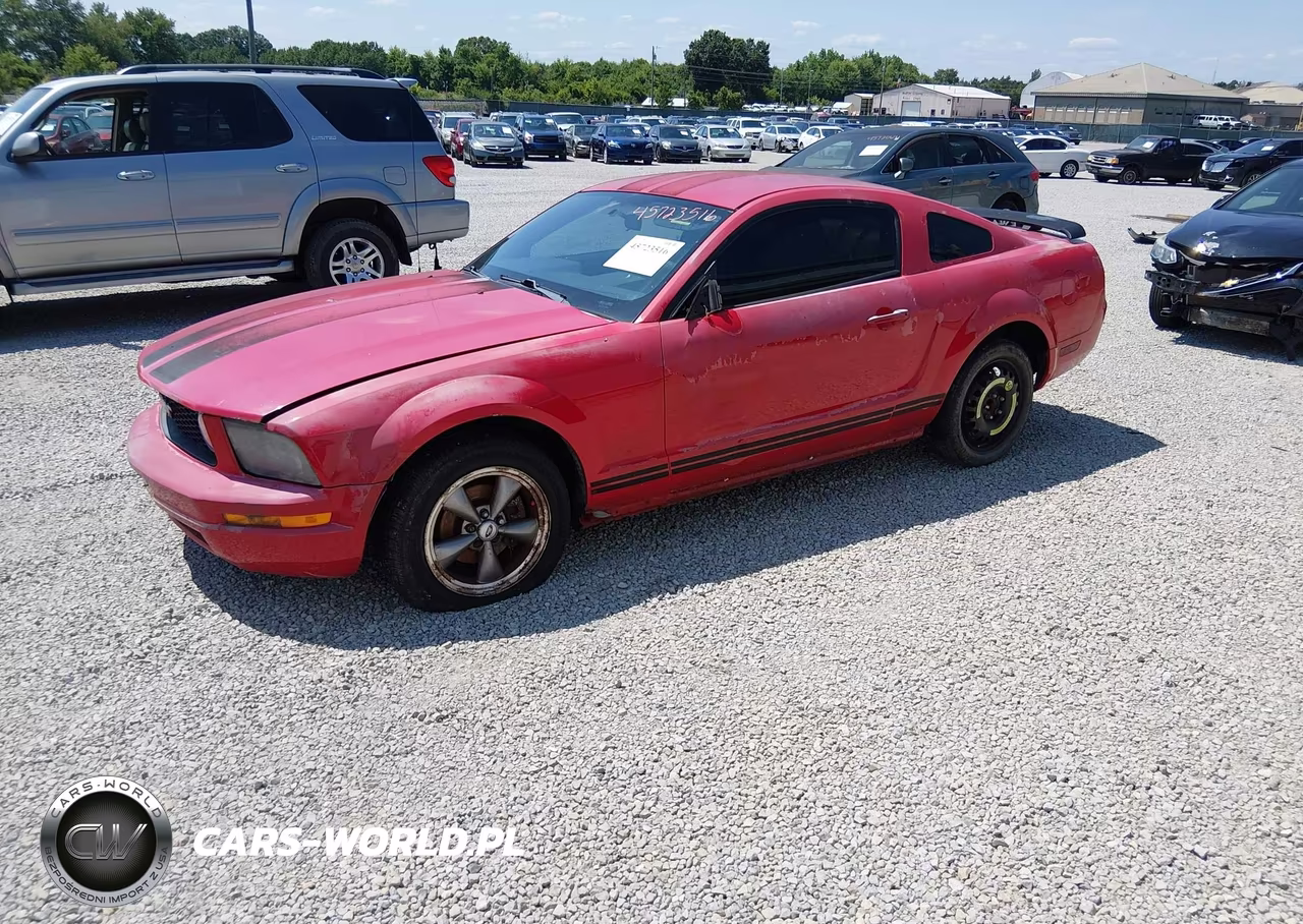 2005 Ford Mustang V6 Deluxe-V6 Premium VIN:1ZVFT80N655162363 - 2