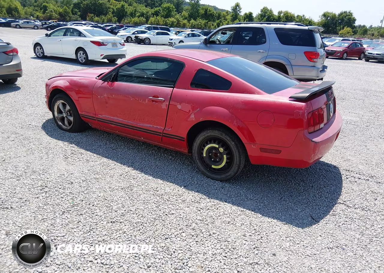 2005 Ford Mustang V6 Deluxe-V6 Premium VIN:1ZVFT80N655162363 - 3