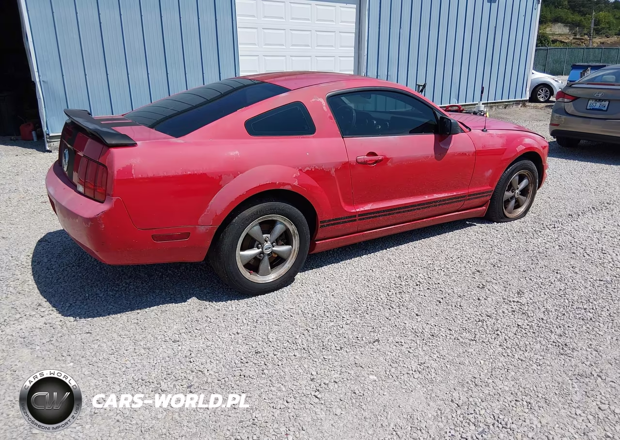 2005 Ford Mustang V6 Deluxe-V6 Premium VIN:1ZVFT80N655162363 - 4