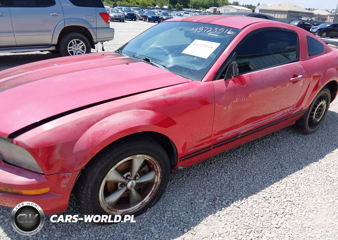 2005 Ford Mustang V6 Deluxe-V6 Premium VIN:1ZVFT80N655162363 - 6