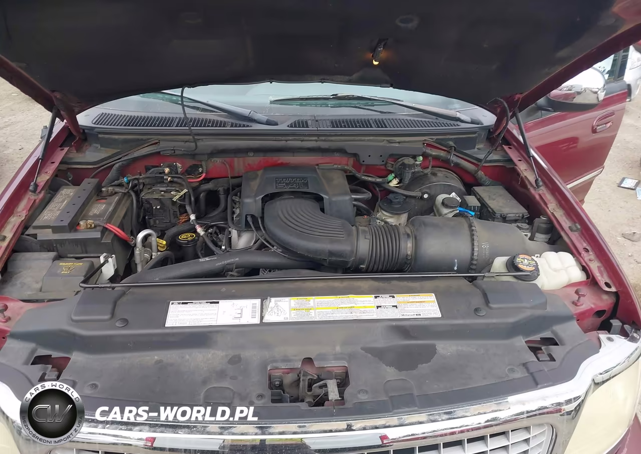 1999 Ford Expedition Eddie Bauer-Xlt VIN:1FMPU18L3XLA67526 - 10