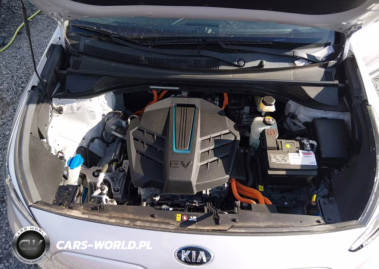 2020 Kia Niro Ev Ex VIN:KNDCC3LG9L5062793 - 10