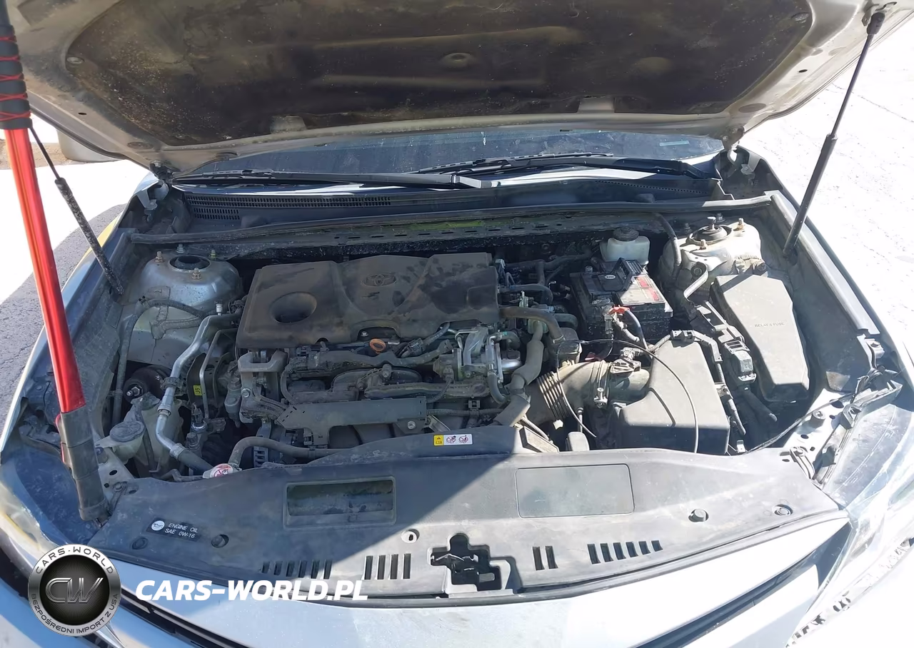 2019 Toyota Camry Le VIN:4T1B11HK1KU197060 - 10